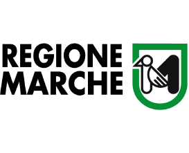 Marche Region Announcement - Pedini forniture